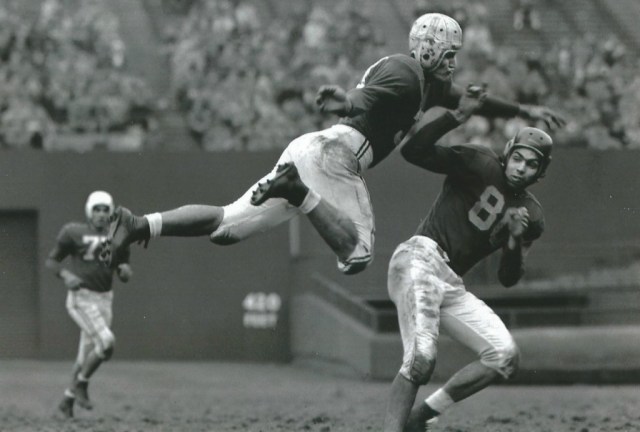 Images of Fenway Flying Harry